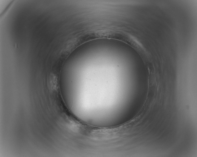 X0000062600025200512230904