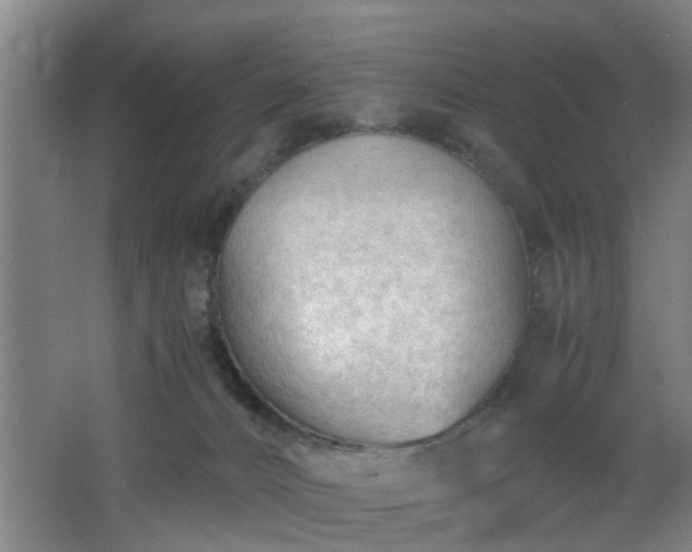 X0000062600032200512230904