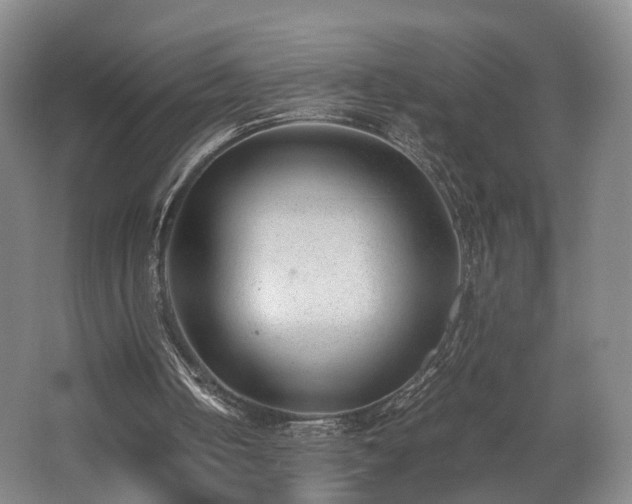 X0000062600050200512230903
