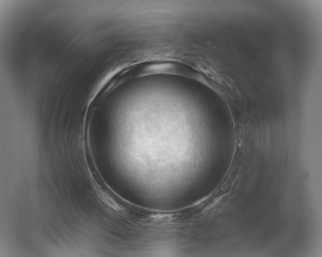 X0000062600052200512230903