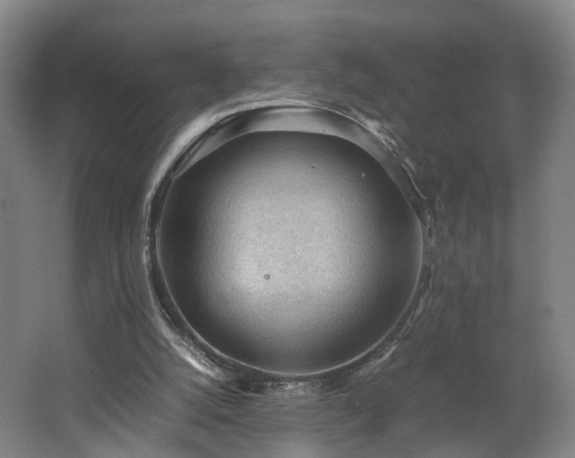 X0000062600056200512230903