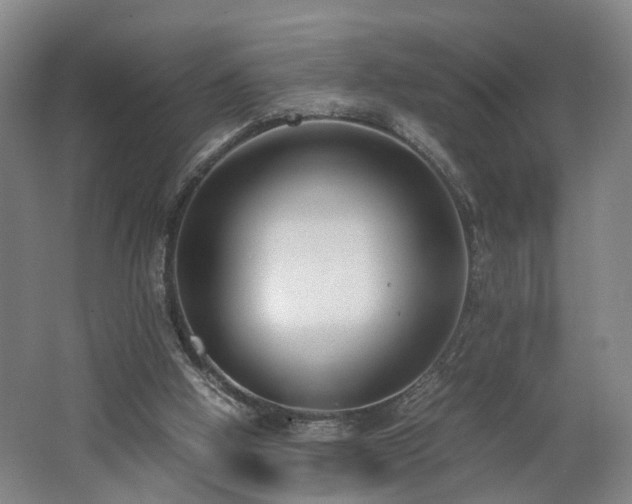 X0000062600058200512230903
