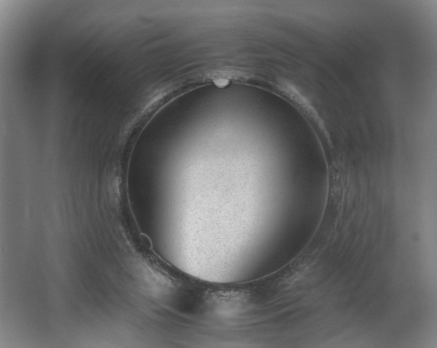 X0000062600063200512230903