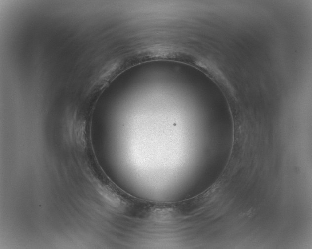 X0000062600066200512230903