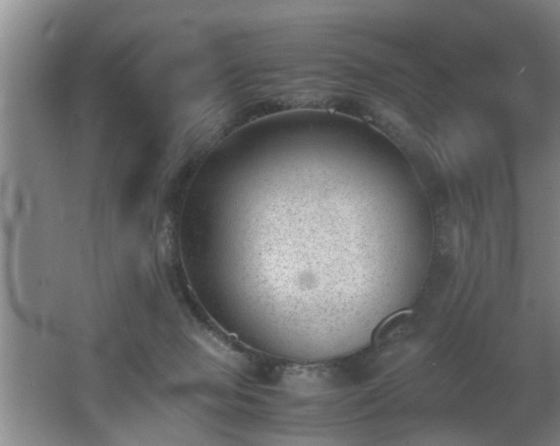 X0000062600077200512230904