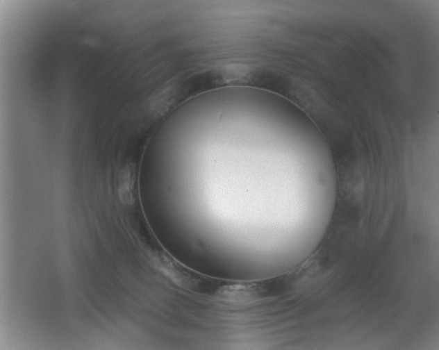 X0000062600082200512230904