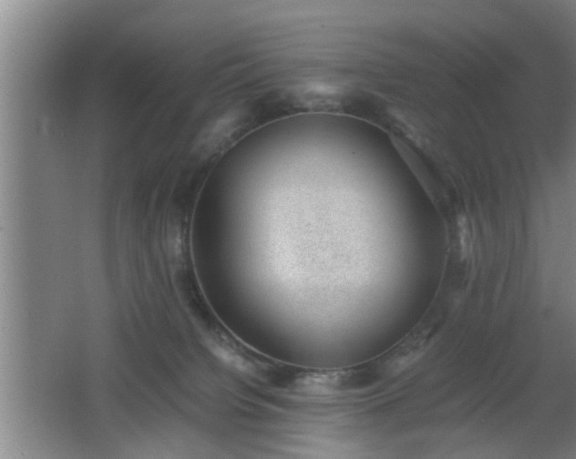 X0000062600084200512230904