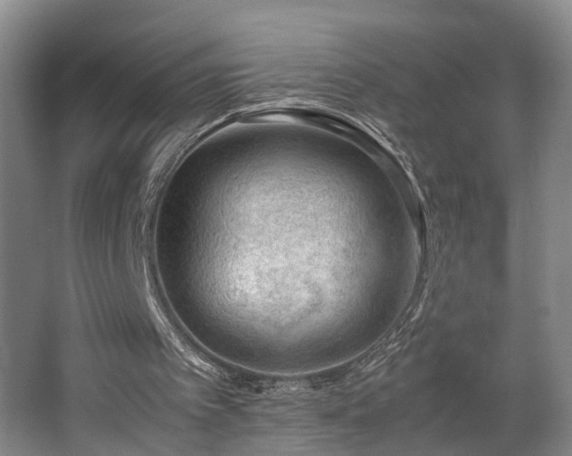 X0000062600097200512230903