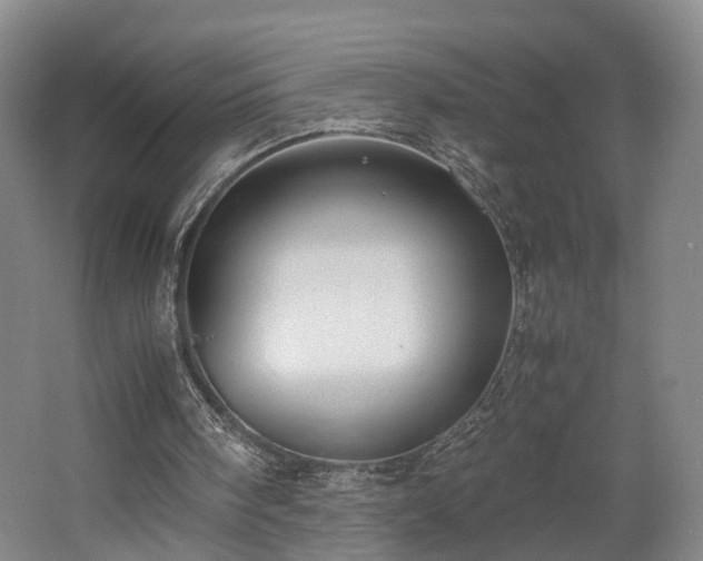 X0000062600098200512230903