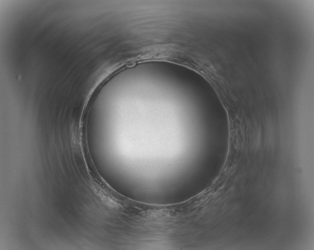 X0000062600100200512230903