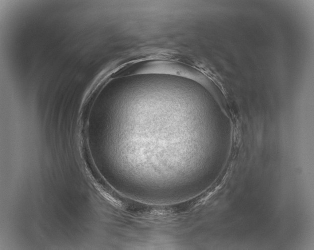 X0000062600101200512230903