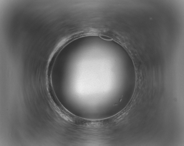 X0000062600102200512230903