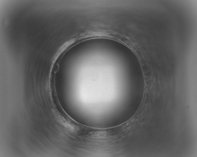 X0000062600104200512230903