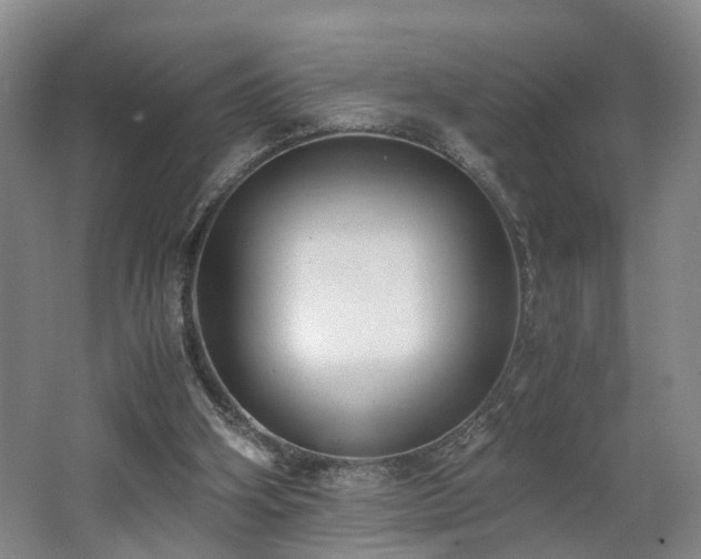X0000062600106200512230903