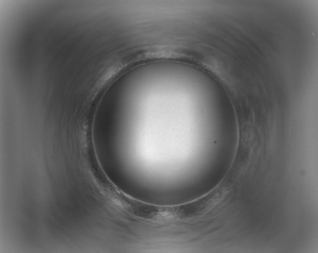 X0000062600111200512230903