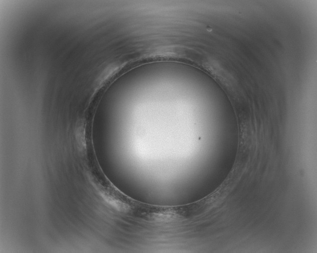 X0000062600112200512230903