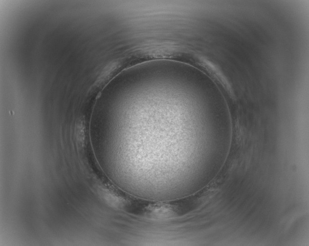 X0000062600113200512230903