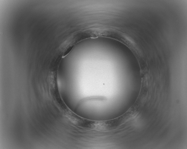 X0000062600121200512230903