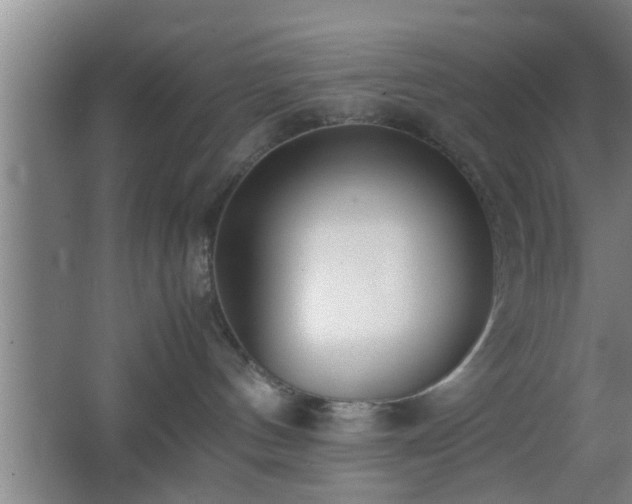 X0000062600144200512230902