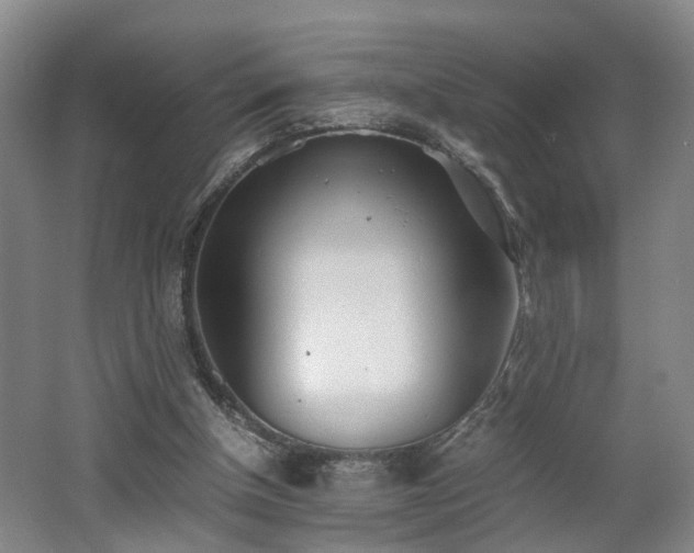 X0000062600154200512230902