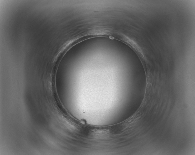 X0000062600155200512230902