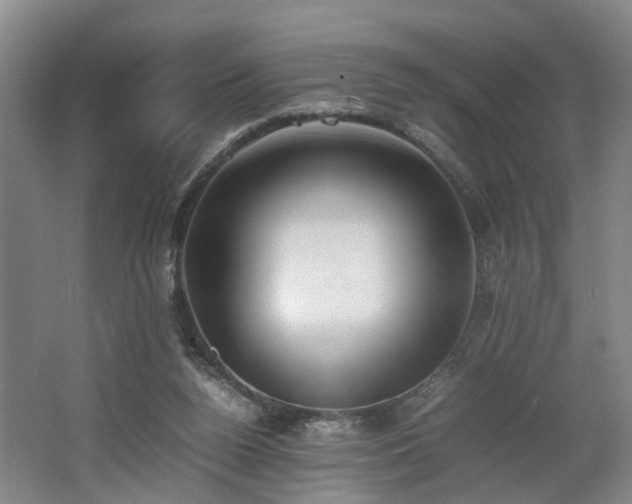 X0000062600160200512230902