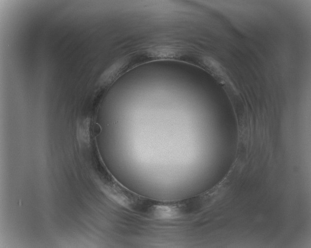 X0000062600167200512230902