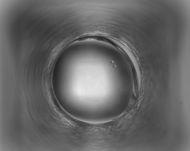 X0000062600193200512230902
