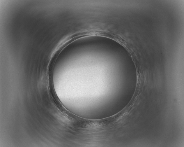 X0000062600198200512230901