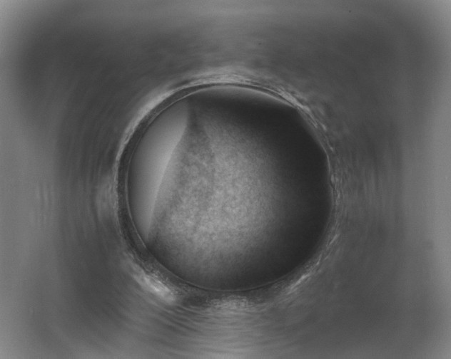 X0000062600200200512230901