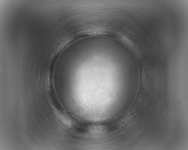 X0000062600202200512230901