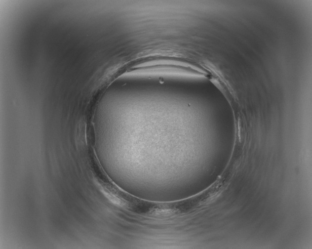 X0000062600205200512230901