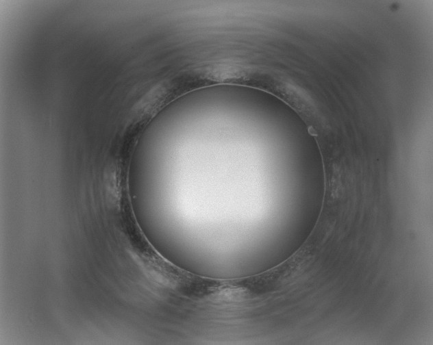 X0000062600210200512230901