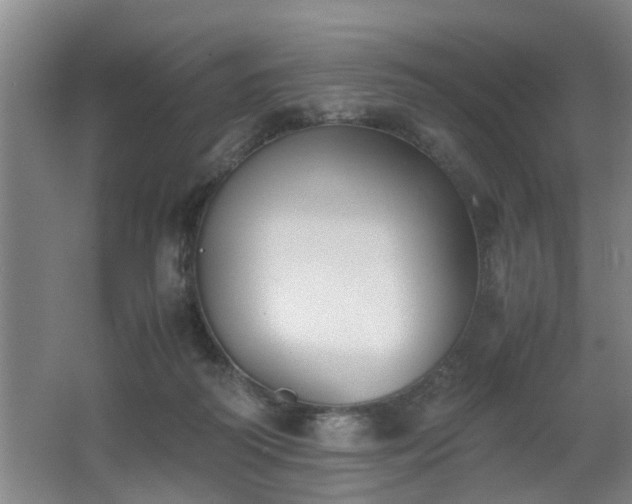 X0000062600218200512230901