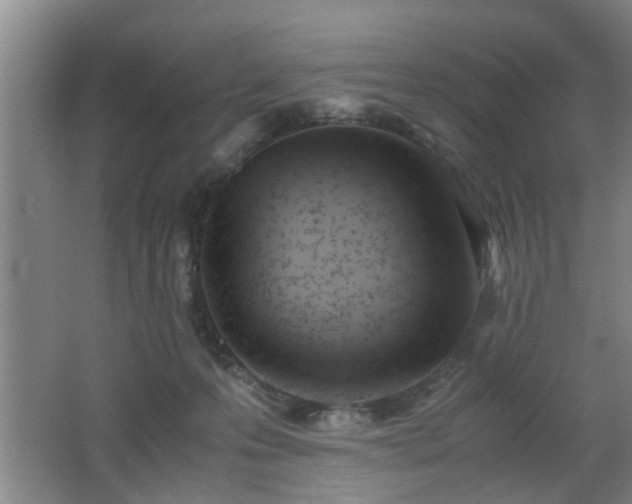 X0000062600223200512230901