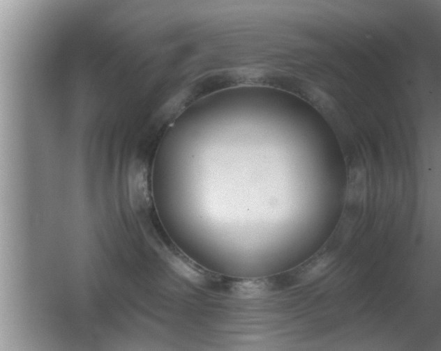 X0000062600238200512230901