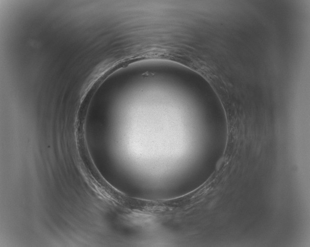 X0000062600242200512230900