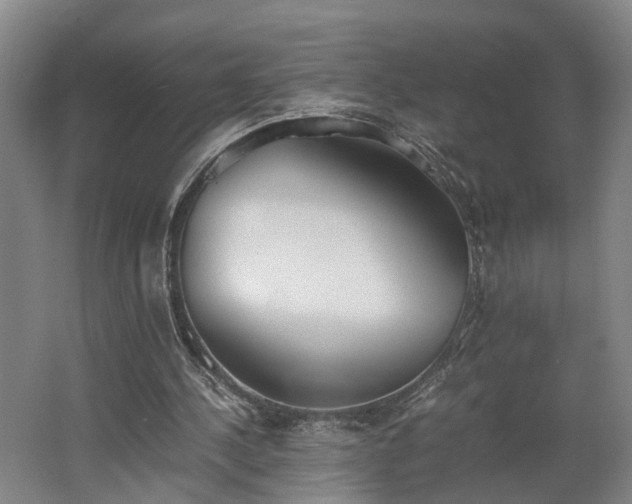 X0000062600244200512230900