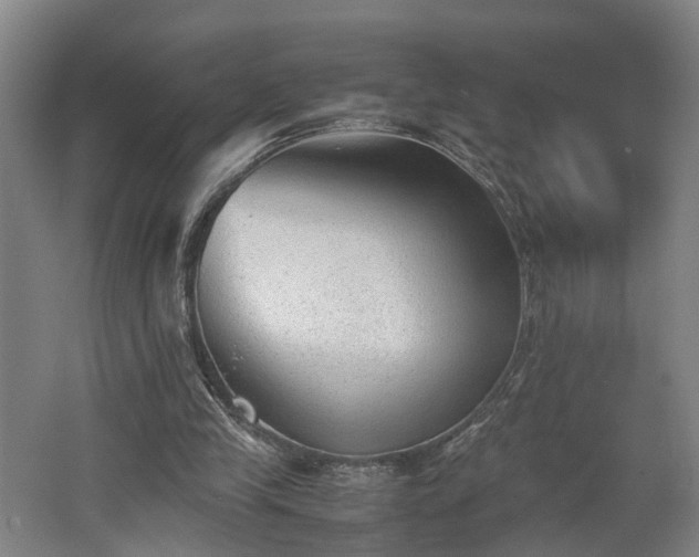 X0000062600245200512230900