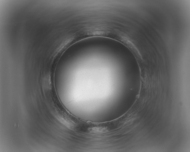 X0000062600251200512230900