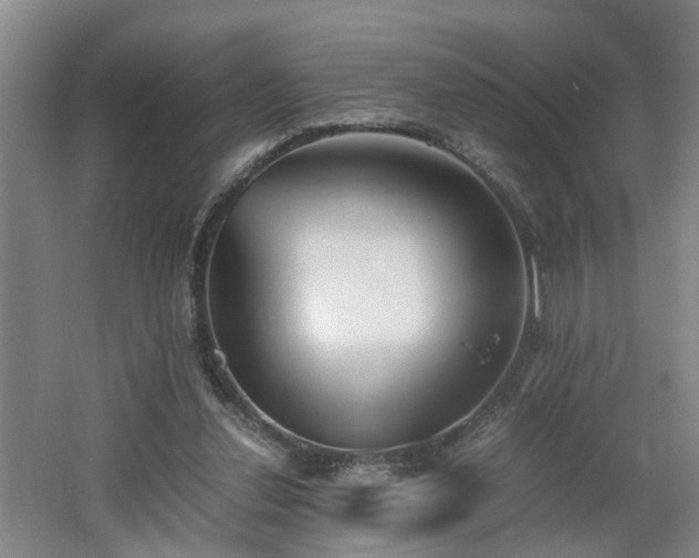X0000062600252200512230900