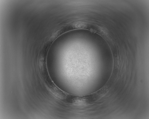 X0000062600263200512230900