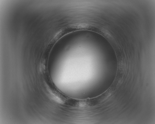 X0000062600264200512230900