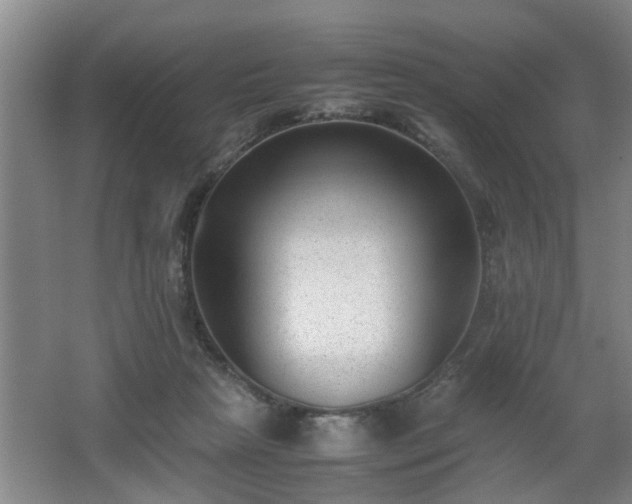 X0000062600265200512230900