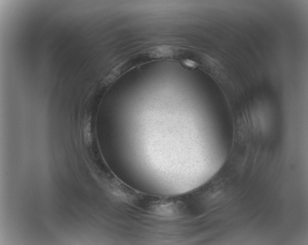 X0000062600267200512230900
