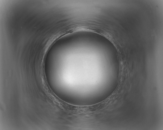 X0000062600289200512230900