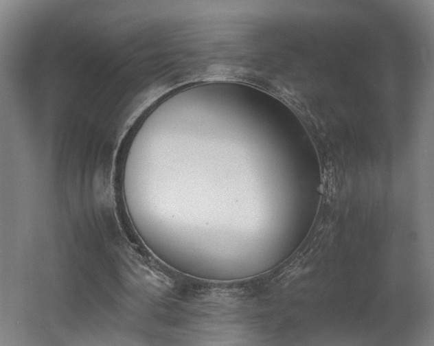 X0000062600292200512230900