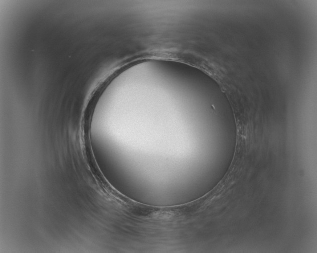 X0000062600294200512230900