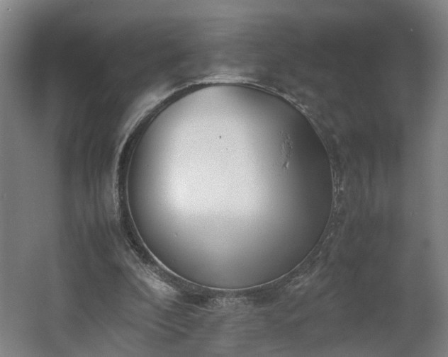 X0000062600296200512230900