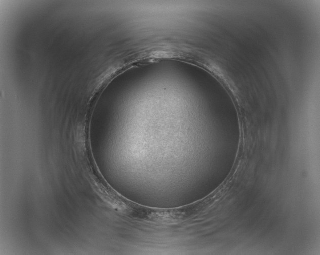 X0000062600297200512230900